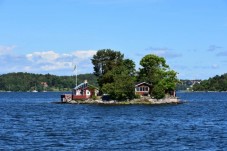 RIB speedboat seal safari from Stockholm